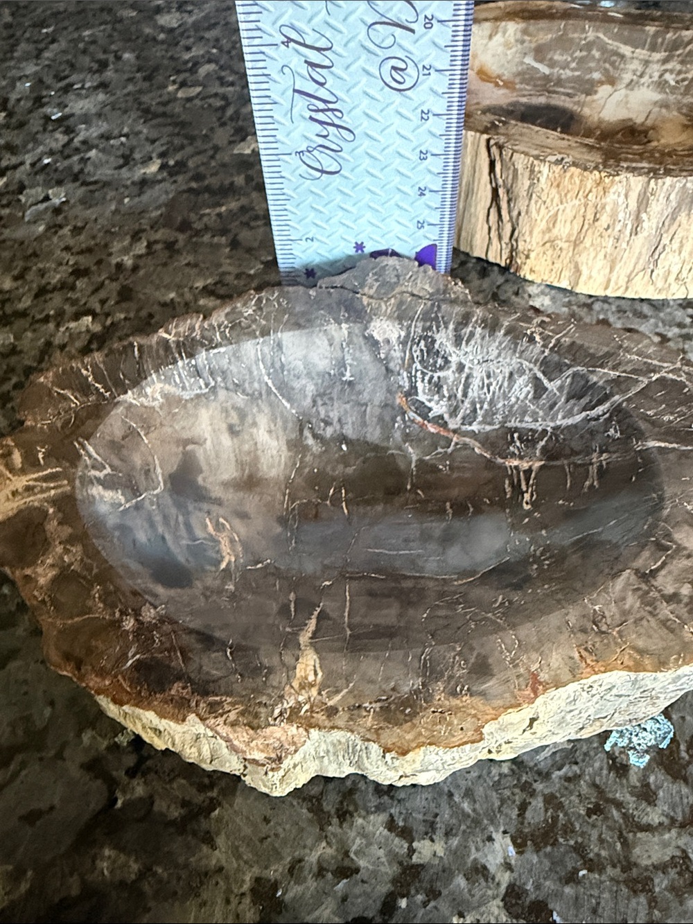 Petrified Wood Custom Bowl B 5 x 7.25โ 4 LBS - Picture 10 of 11